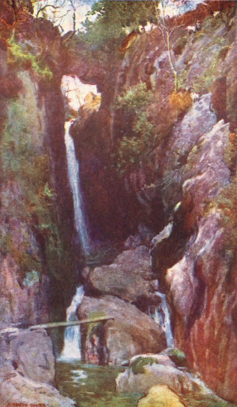 Lake District: Dungeon Ghyll Force, Langdale (barevná litografie) od Alfred Heaton Cooper