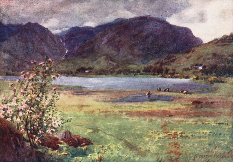 Lake District: Little Langdale Tarn (barevná litografie) od Alfred Heaton Cooper