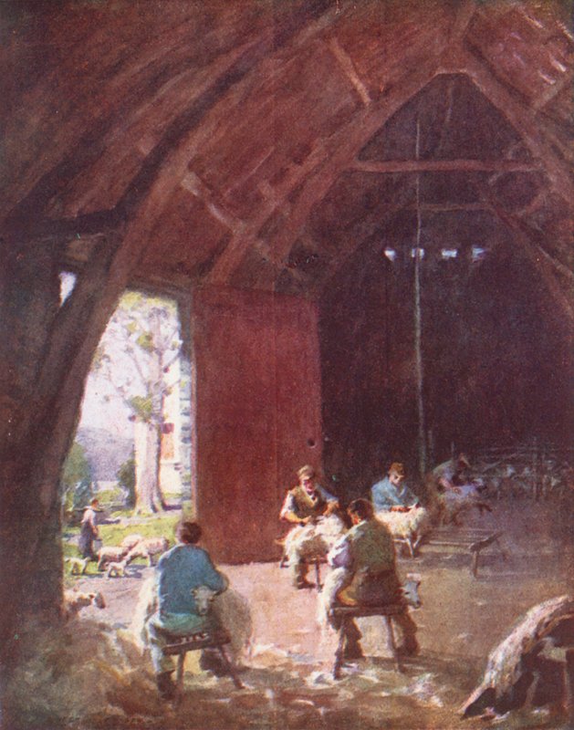 Lake District: Sheep-Shearing, Esthwaite Hall Farm (barevná litografie) od Alfred Heaton Cooper