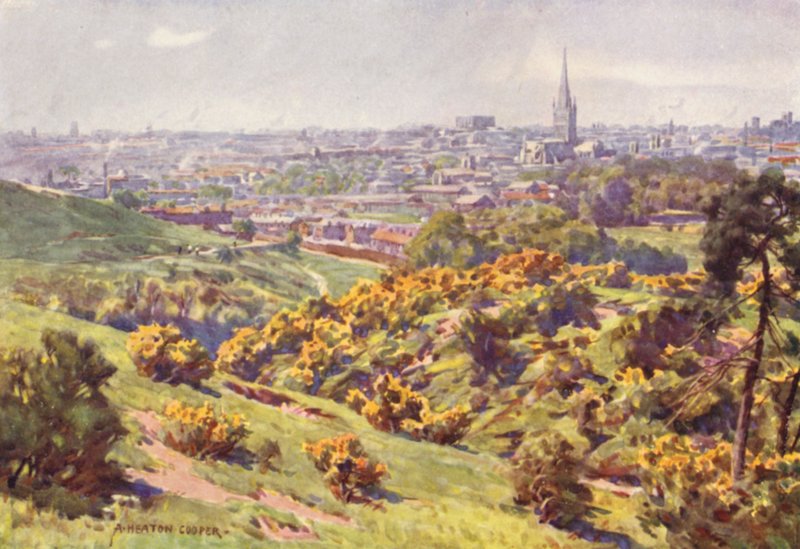 Norwich z Mousehold Heath, Norfolk od Alfred Heaton Cooper
