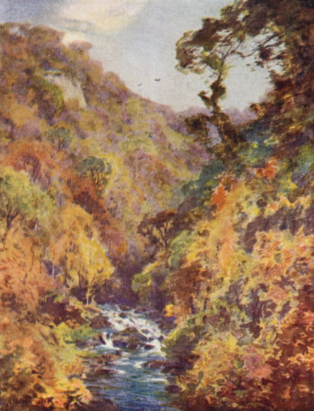 Dargle, hrabství Wicklow od Alfred Heaton Cooper