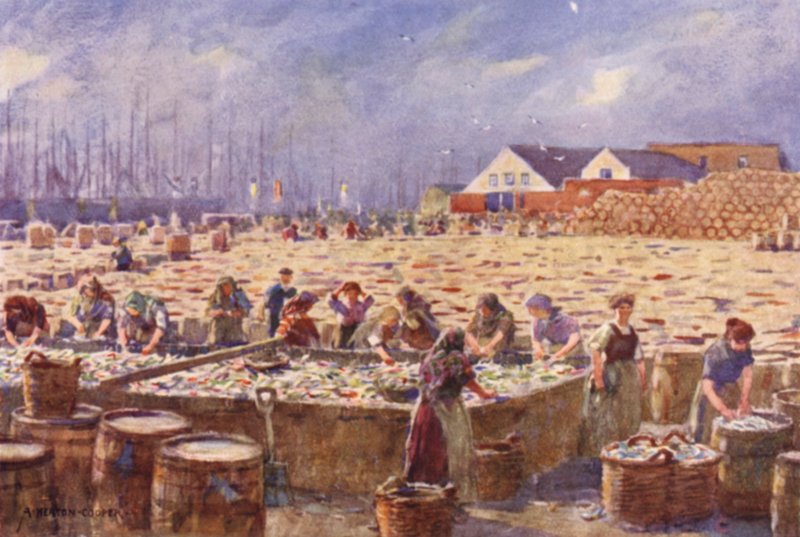Yarmouth, Norfolk, Sklizeň sledě od Alfred Heaton Cooper