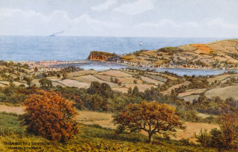 Teignmouth a Shaldon, od Haldon Moor od Alfred Robert Quinton