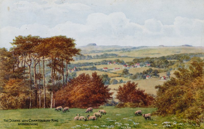 The Downs s Chanctonbury Ring, Nr Worthing od Alfred Robert Quinton