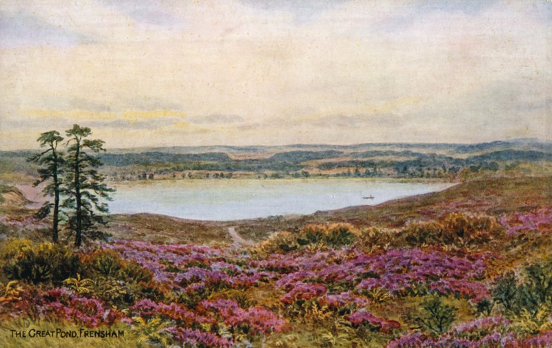 Velký rybník, Frensham od Alfred Robert Quinton