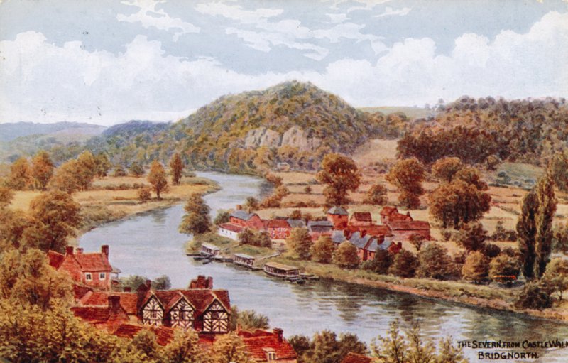 Severn, z Castle Walk, Bridgnorth od Alfred Robert Quinton