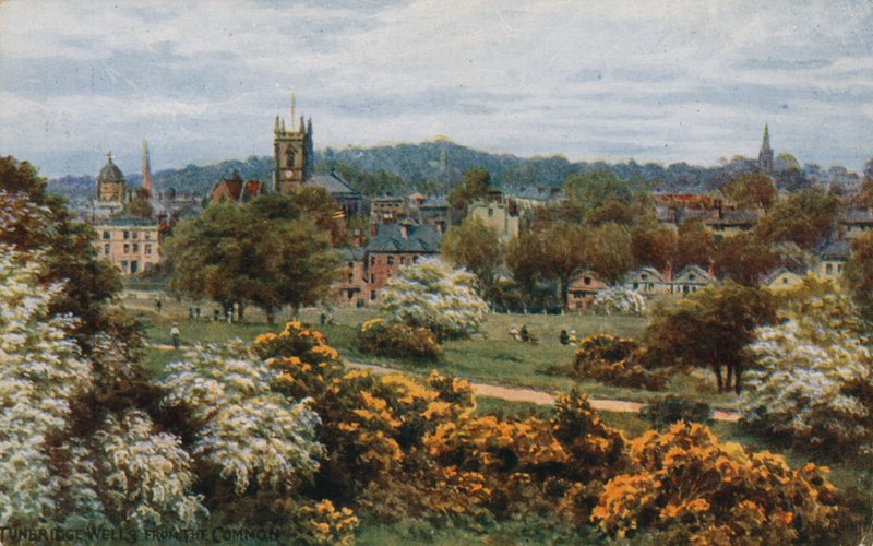 Tunbridge Wells z The Common od Alfred Robert Quinton