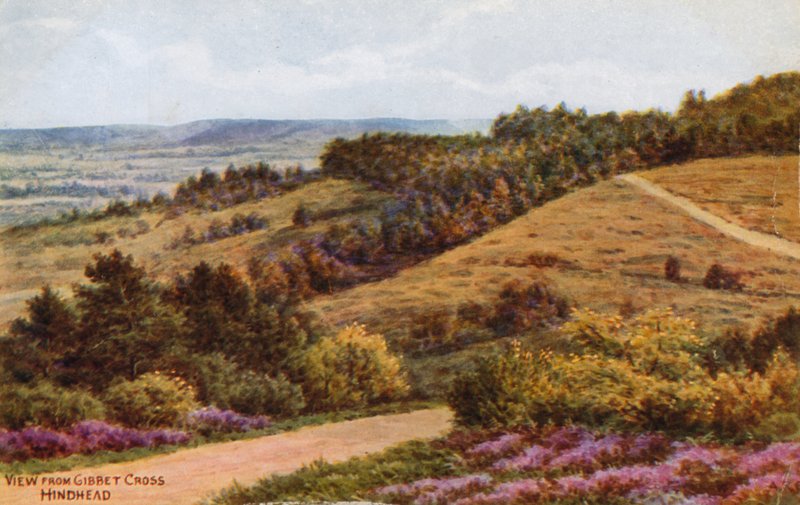 Pohled z Gibbet Cross, Hindhead od Alfred Robert Quinton