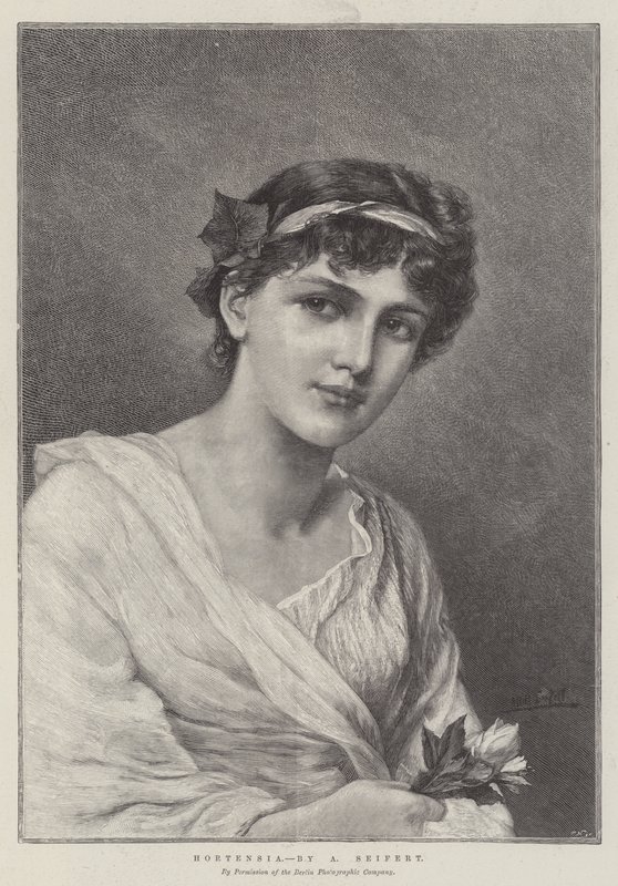 Hortensie od Alfred Seifert