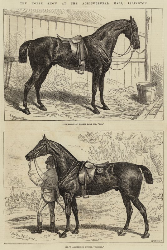 Horse Show v Agricultural Hall, Islington od Alfred Sheldon Williams