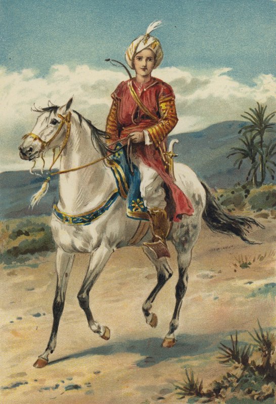 Arabské noci: Historie Codadada a jeho bratrů od Alfred W. Cooper
