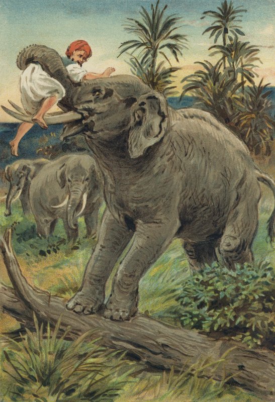 Arabské noci: Historie Sindibáda námořníka od Alfred W. Cooper