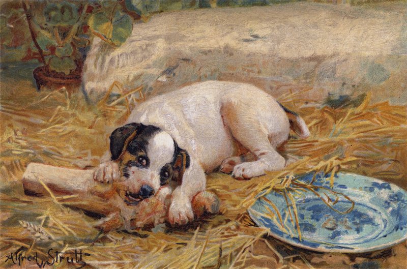 Čím blíže kosti, tím sladší maso (chromolit) od Alfred William Strutt