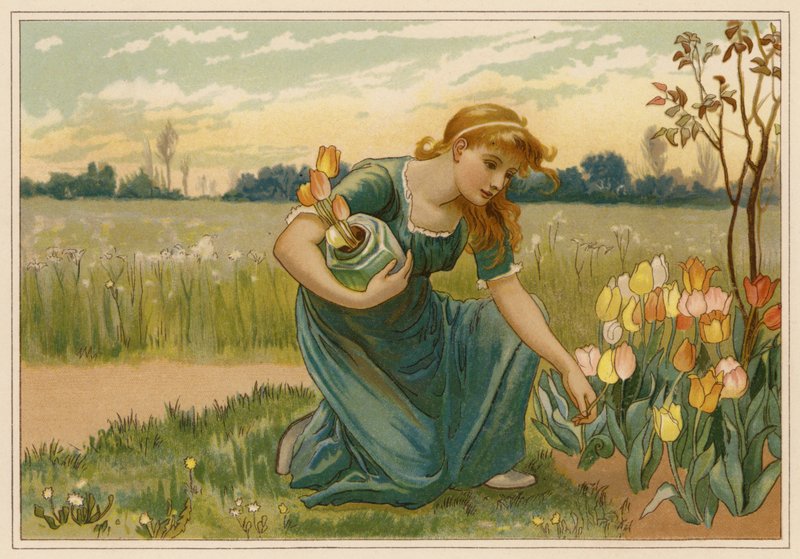 Sedmikráska (chromolit) od Alice Havers
