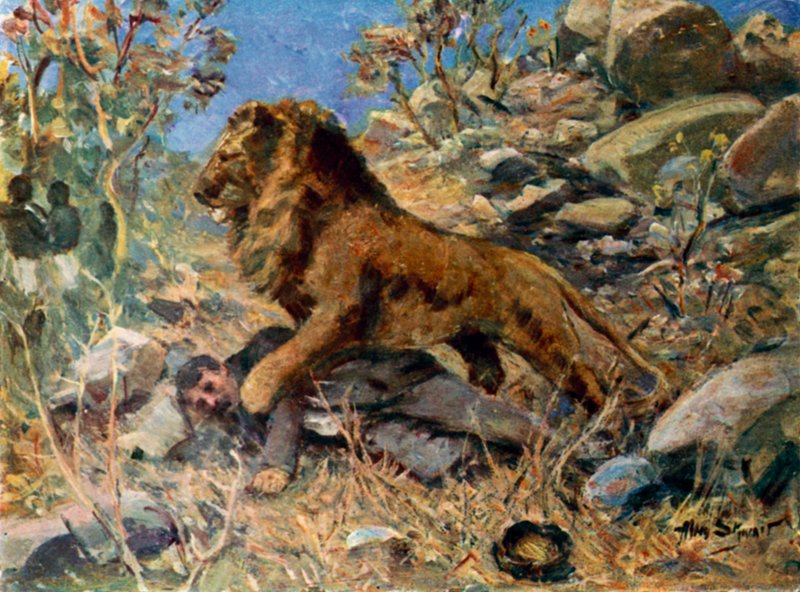 David Livingstone, Livingstone a lev (barva lito) od Allan (after) Stewart