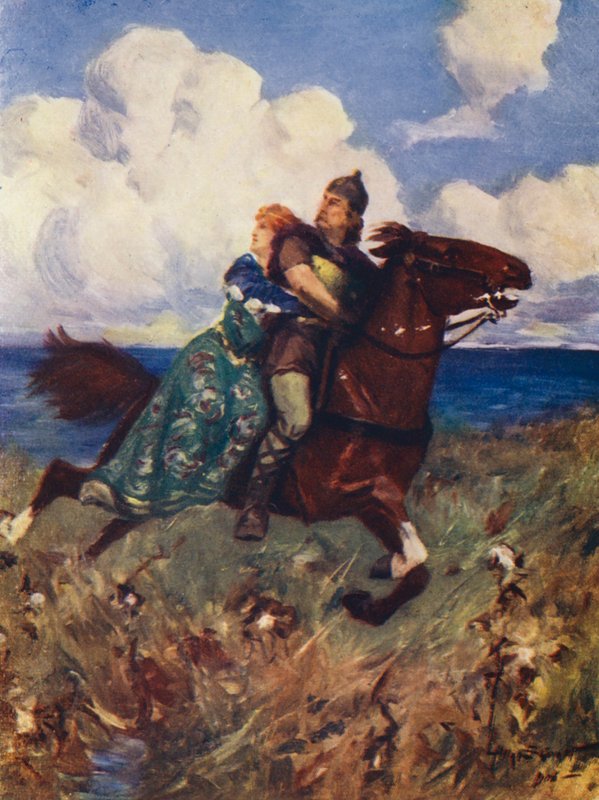 Bitva ptáků (barevná litografie) od Allan Stewart