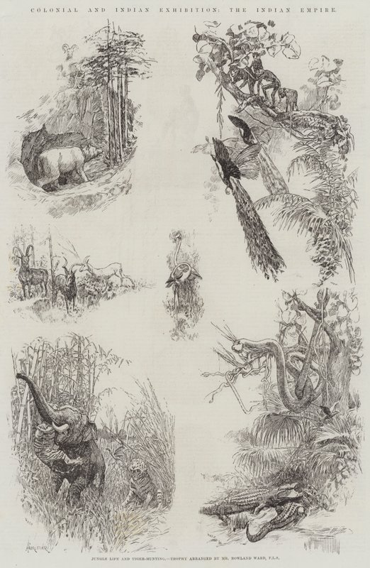 Koloniální a indická výstava, Indická říše od Amedee Forestier