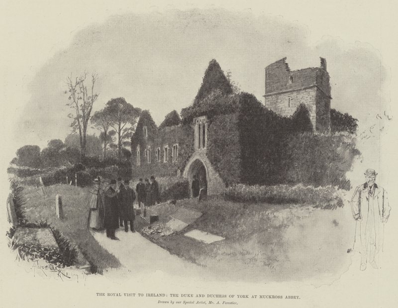 Královská návštěva Irska, vévoda a vévodkyně z Yorku v Muckross Abbey od Amedee Forestier