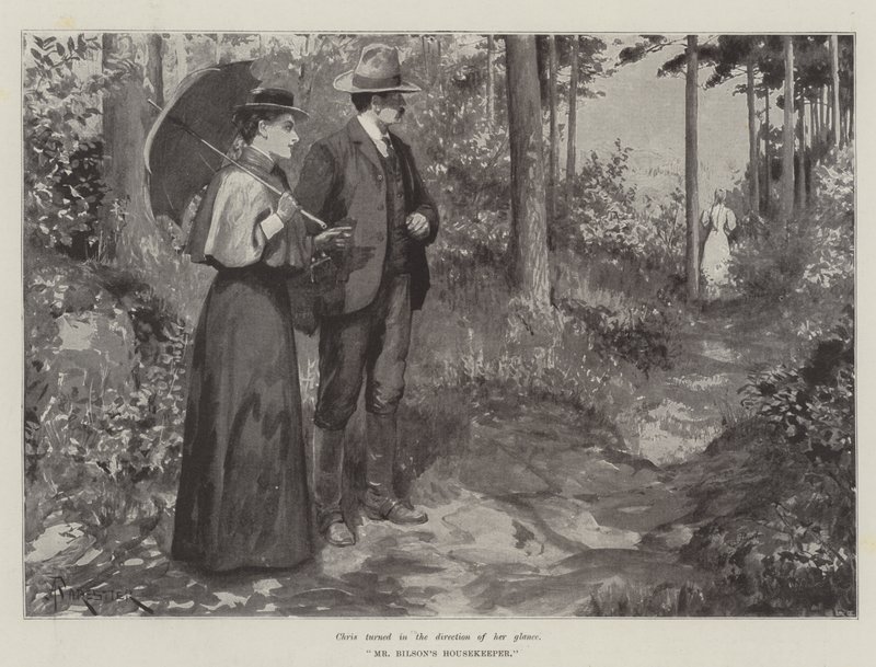 Hospodyně pana Bilsona, Bret Harte od Amedee Forestier