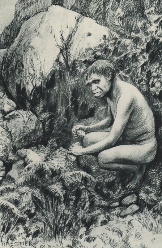 Dávný nájemce Staré plošiny, možná před deseti tisíci staletími od Amedee Forestier