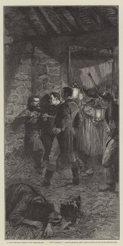 Divoký Darrie od Christie Murray a H Hermana od Amedee Forestier