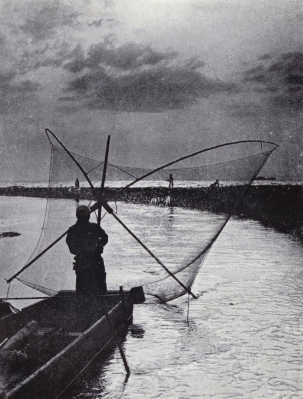 Japonský rybář kreslí svou síť (černobílá fotografie) od American Photographer (after)
