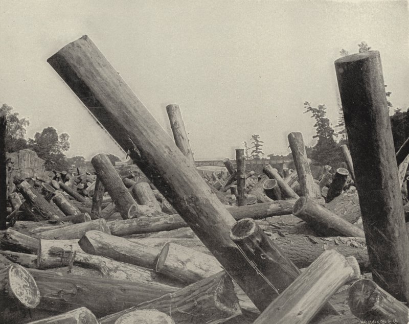 Log Jam v St Croix River, Wisconsin (černobílá fotografie) od American Photographer (after)