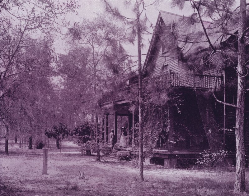 Dům ve stínu Southern Pines na Floridě (černobílá fotografie) od American Photographer (after)
