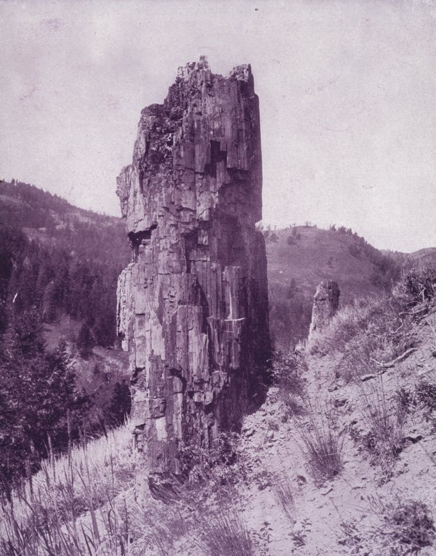 Zkamenělý strom ve špatných zemích Dakoty (černobílá fotografie) od American Photographer (after)