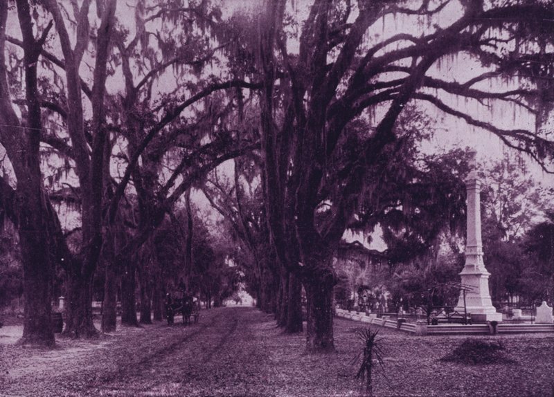 Bonaventure Cemetery, Savannah, Georgia (č/b fotografie) od American Photographer (after)