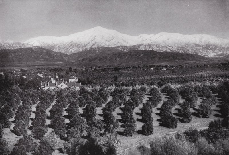 Kalifornie: Redlands, od Smiley Heights, slunce, pomerančové háje a zasněžené vrcholky (čb foto) od American Photographer (after)