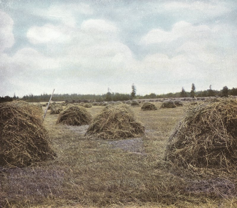 Oregon: Alfalfa (foto) od American Photographer (after)