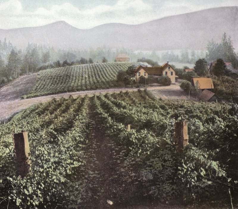Oregon: Diverzifikované zemědělství ve Willamette Valley (foto) od American Photographer (after)