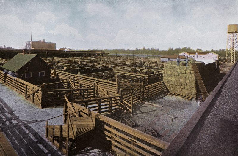 Oregon: Portland Union Stock Yards (foto) od American Photographer (after)