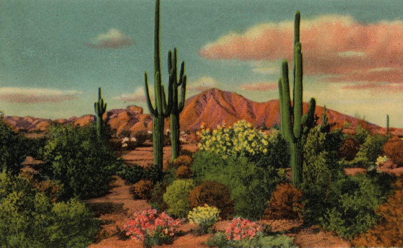 Phoenix, Arizona: Camelback Mountain and Desert (foto) od American Photographer (after)