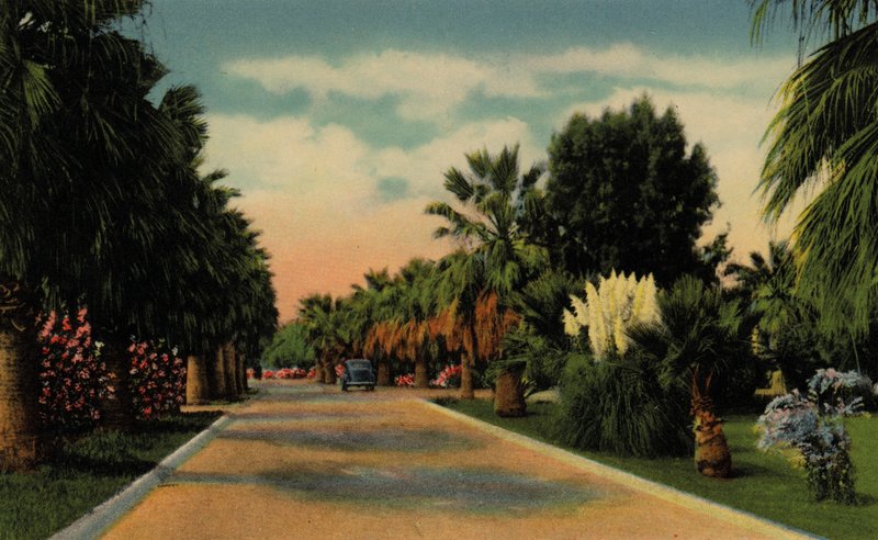 Phoenix, Arizona: Country Club Park (foto) od American Photographer (after)