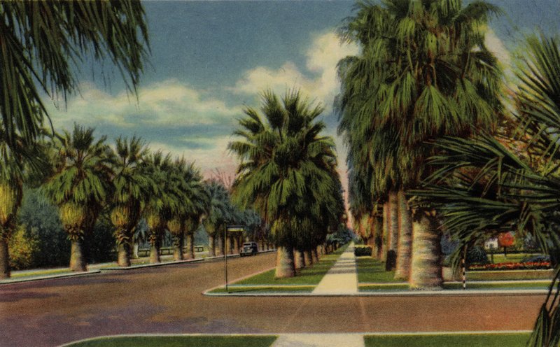 Phoenix, Arizona: North Central Avenue (foto) od American Photographer (after)