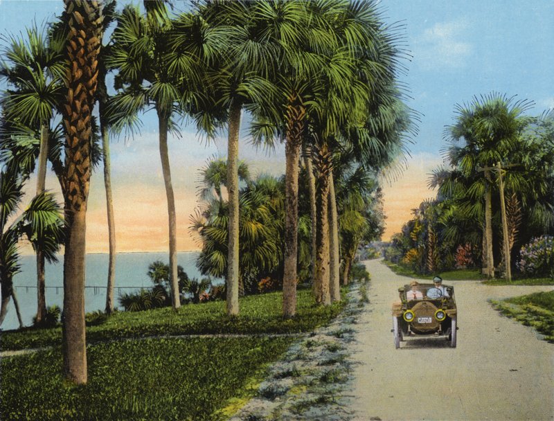 Riverside Drive, Fort Pierce, Florida (foto) od American Photographer (after)