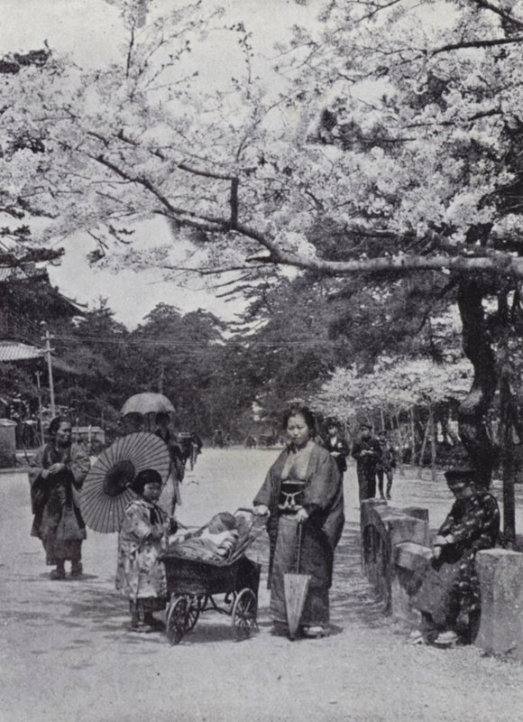 Pod třešňovým květem v Shiba Park, Tokio (č/b foto) od American Photographer (after)