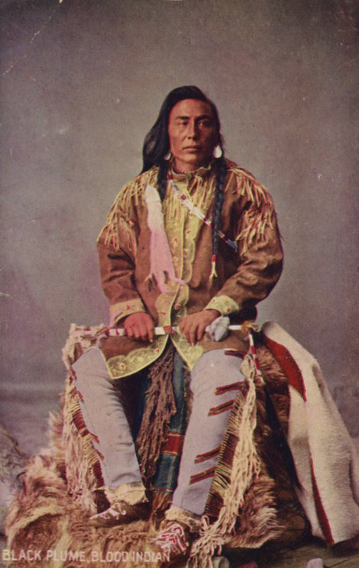 Black Plume, Krvavý indián (foto) od American Photographer