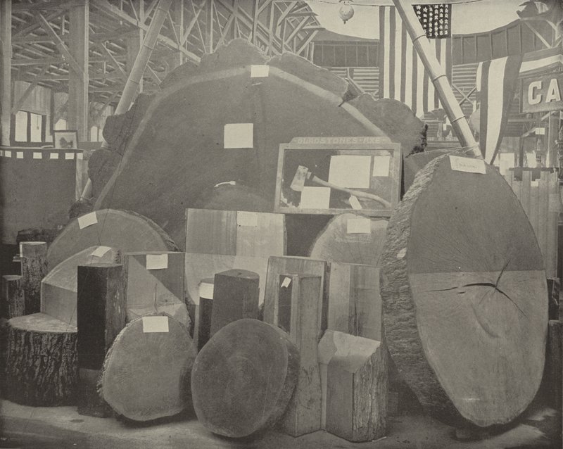 Gladstones Axe od American Photographer