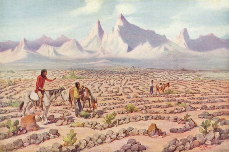 Mystic Maze of the Mojave Indians, poblíž Needles, Kalifornie (barevná fotografie) od American Photographer