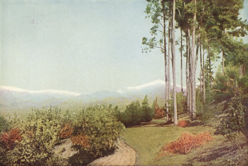 Old Baldy, ze Smiley Heights, Kalifornie (barevná fotografie) od American Photographer