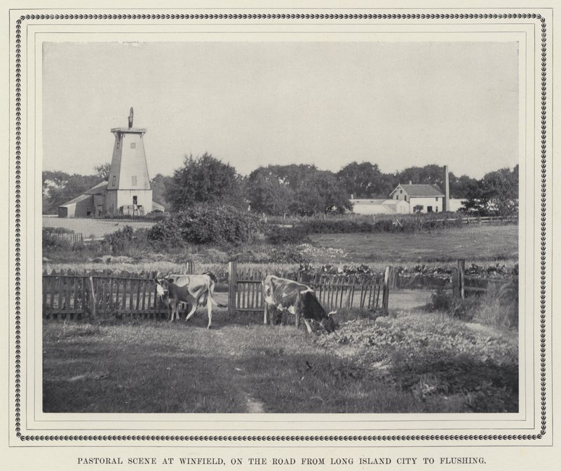 Pastorační scéna ve Winfieldu, na cestě z Long Island City do Flushing (černobílá fotografie) od American Photographer