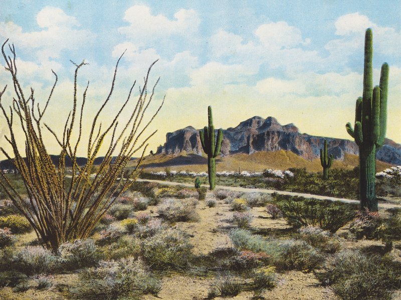 Pohoří Superstition a poušť, "Apache Trail" (barevné foto) od American Photographer
