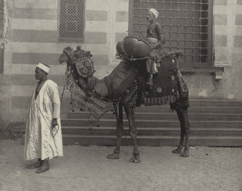 Egypťan Tom-Tom od American Photographer