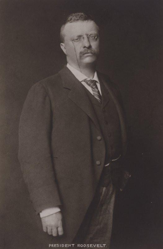 Theodore Roosevelt, 26. prezident Spojených států, 1904 od American Photographer