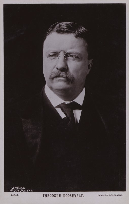 Theodore Roosevelt, americký politik a 26. prezident Spojených států (čb fotografie) od American Photographer
