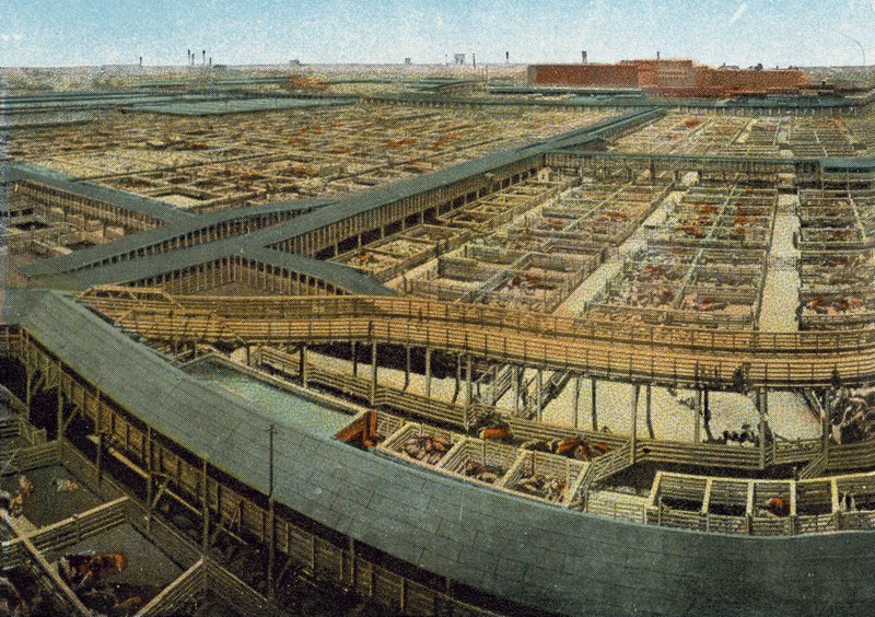 Union Stock Yards (barevná fotografie) od American Photographer