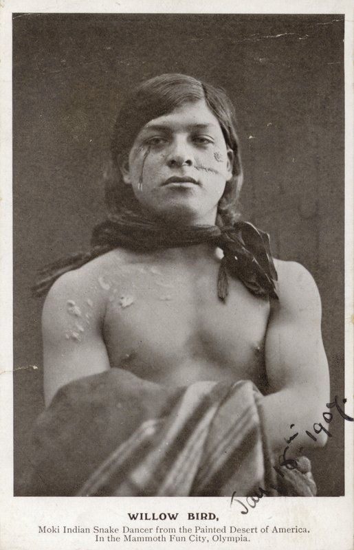 Willow Bird - indiánská hadí tanečnice Moki z malované pouště Ameriky (čb fotografie) od American Photographer